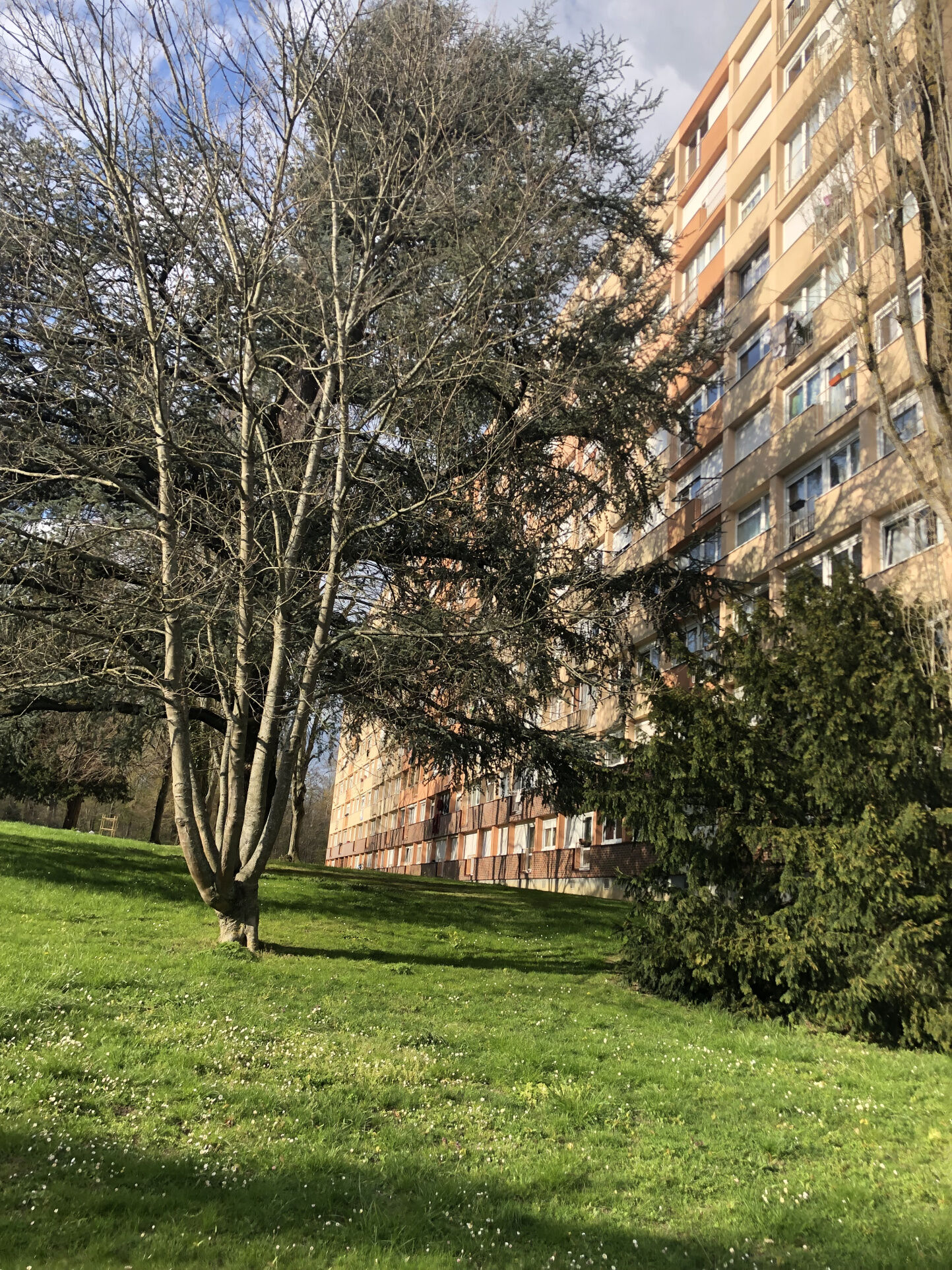 Agence immobilière de VAN DEN IMMOBILIER