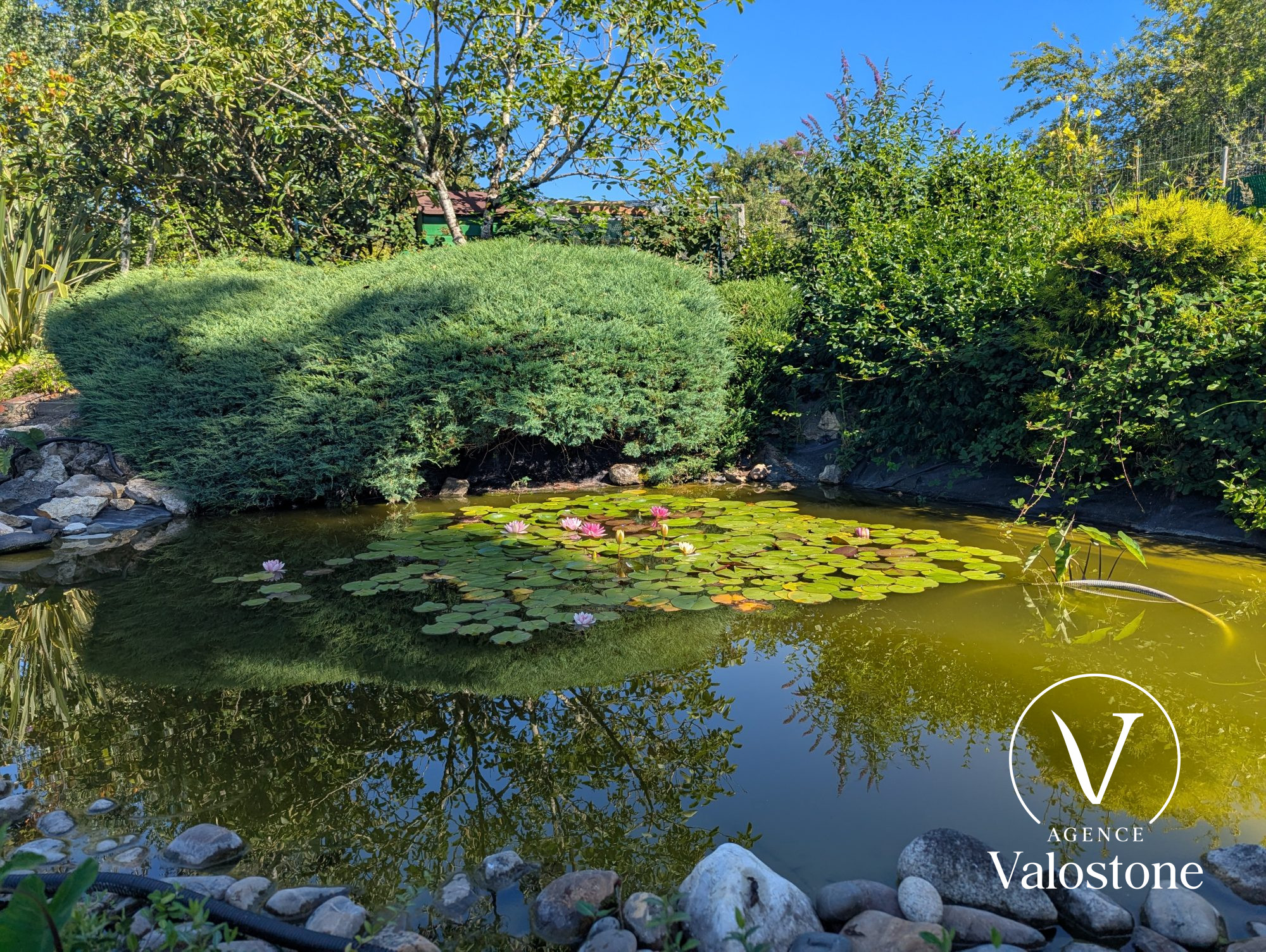 Agence immobilière de Valostone International