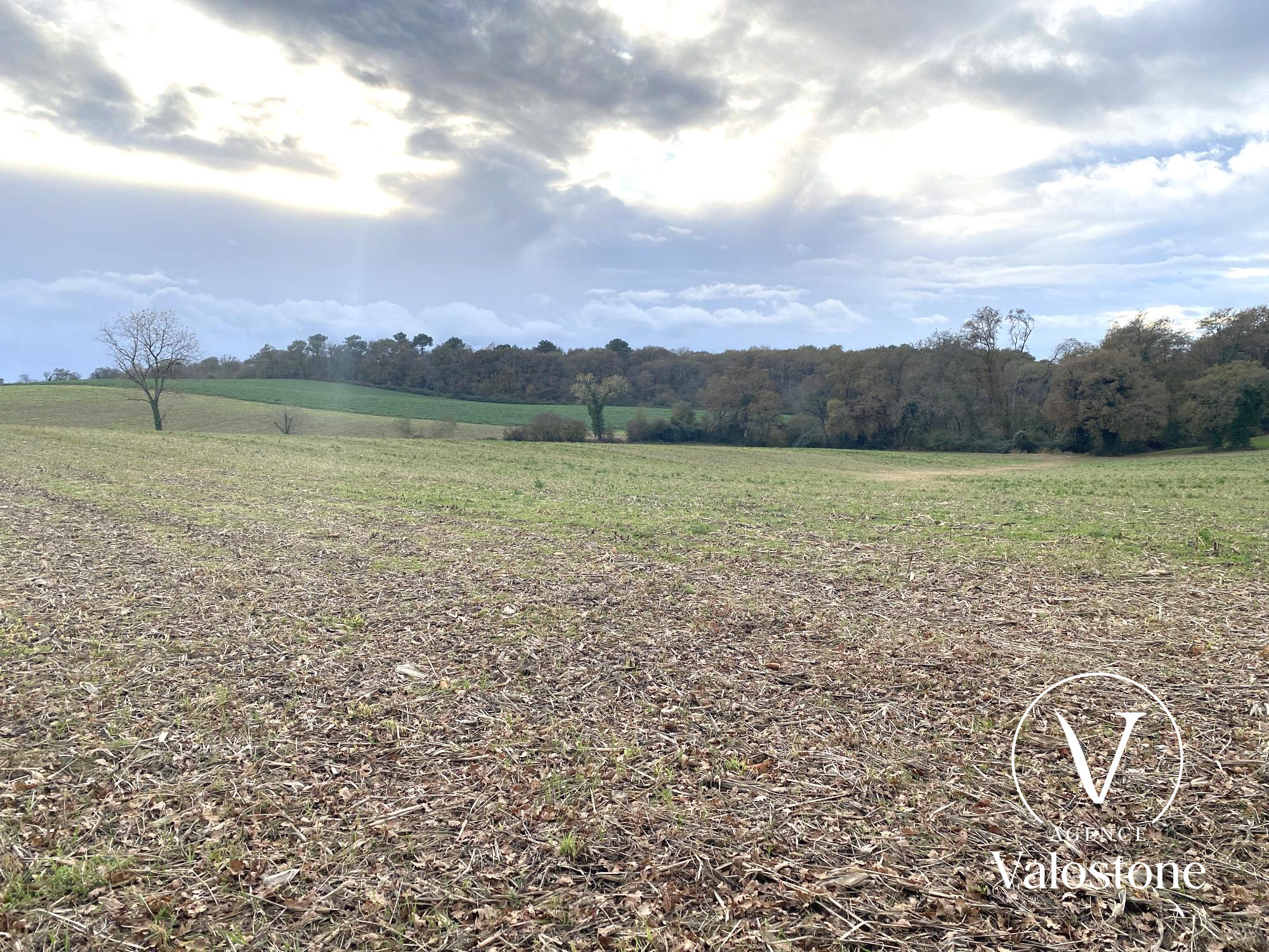 Agence immobilière de Valostone International