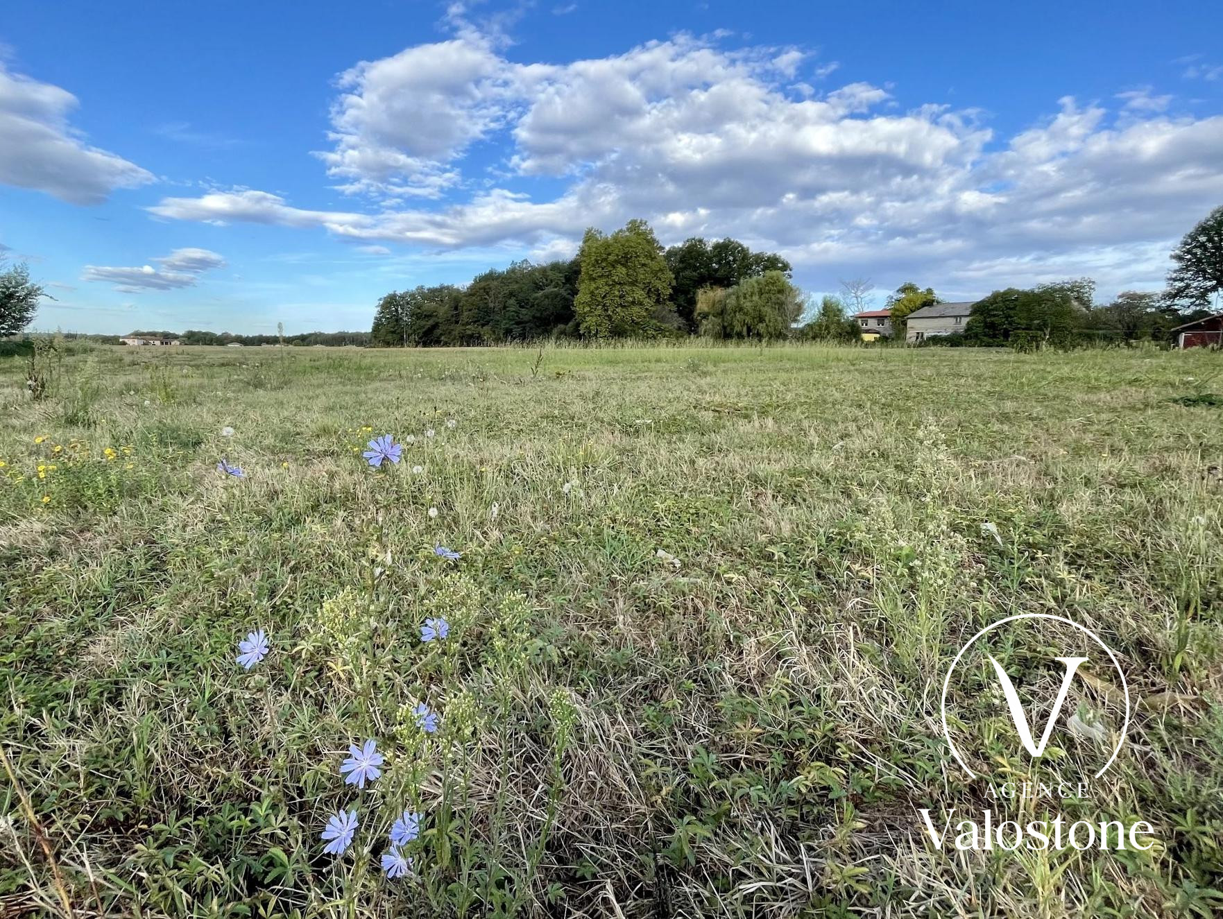 Agence immobilière de Valostone International