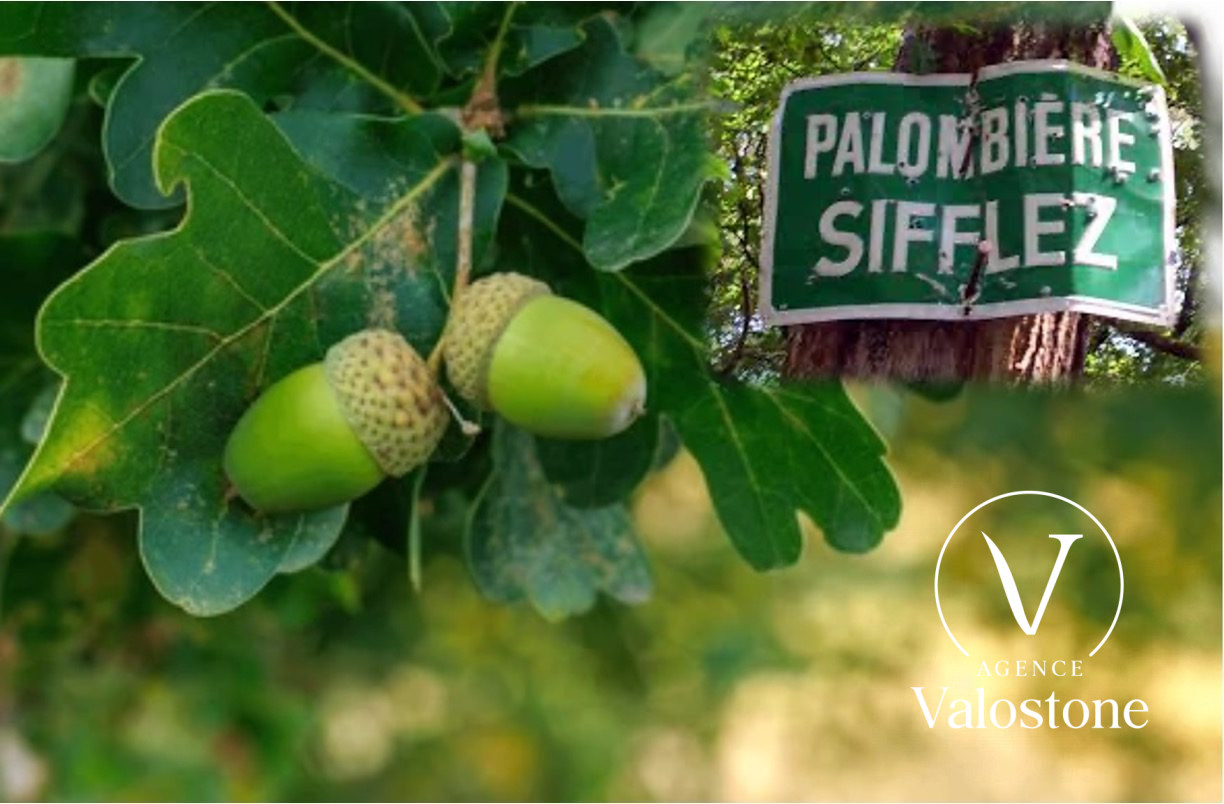 Agence immobilière de Valostone International