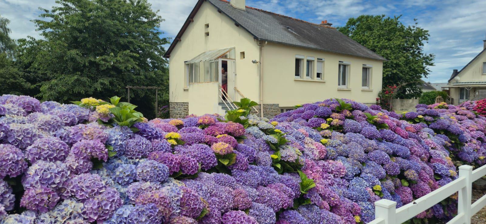 Agence immobilière de CABINET AG