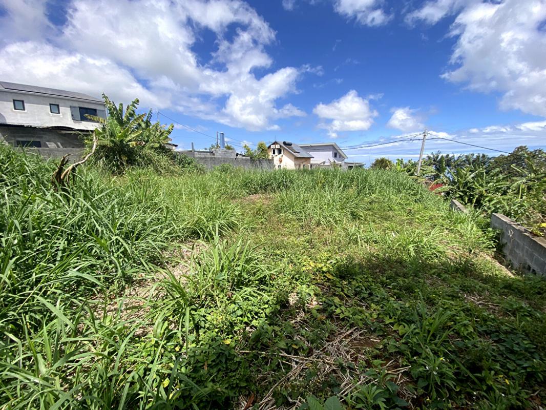 Agence immobilière de William VILLET