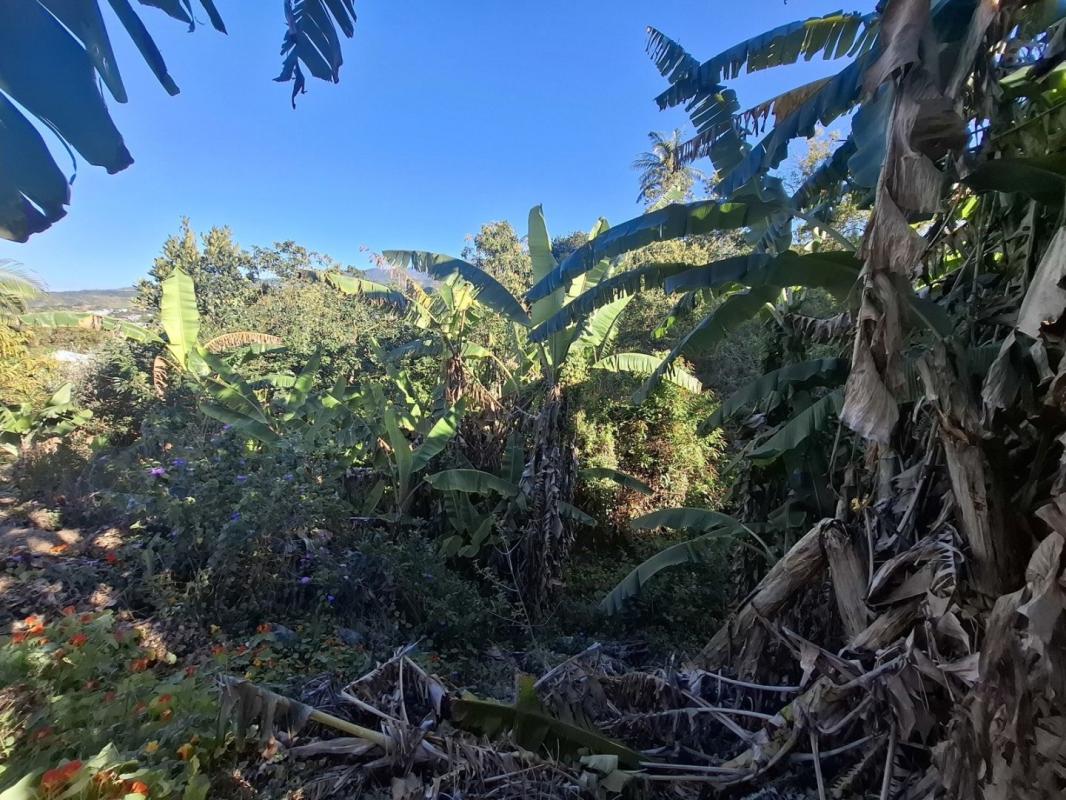 Agence immobilière de William VILLET