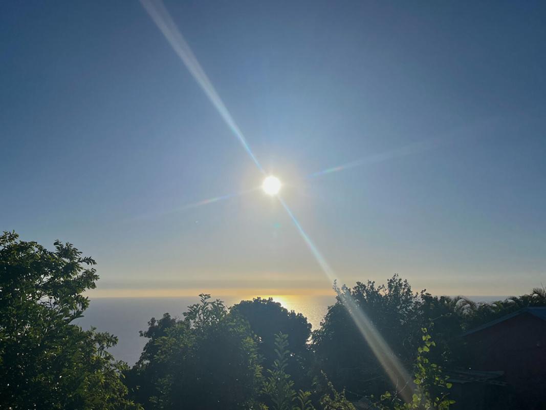 Agence immobilière de William VILLET