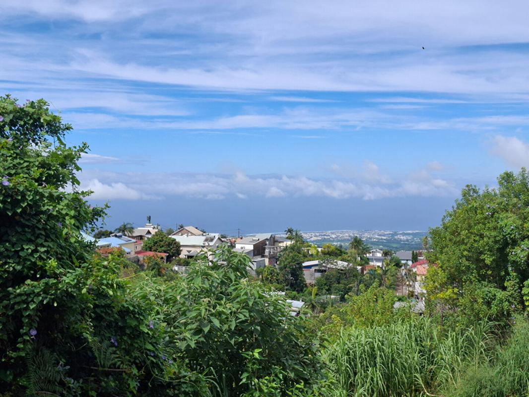 Agence immobilière de William VILLET