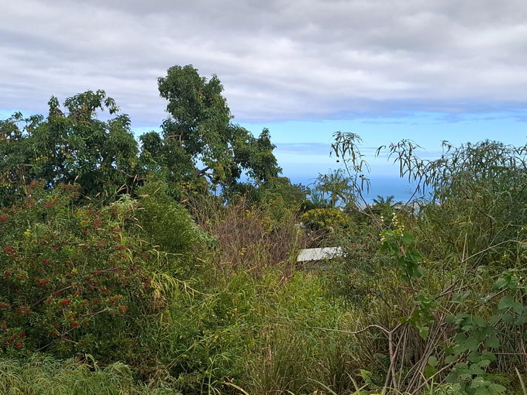 Agence immobilière de William VILLET