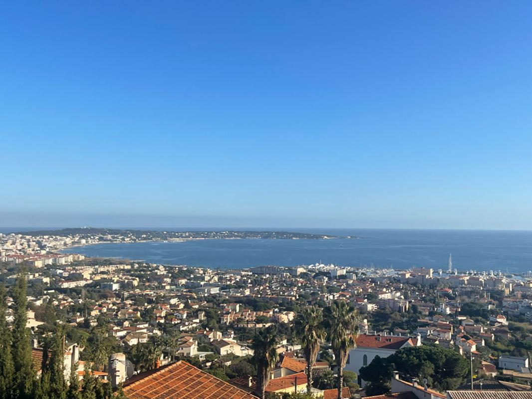 Agence immobilière de INFINI
