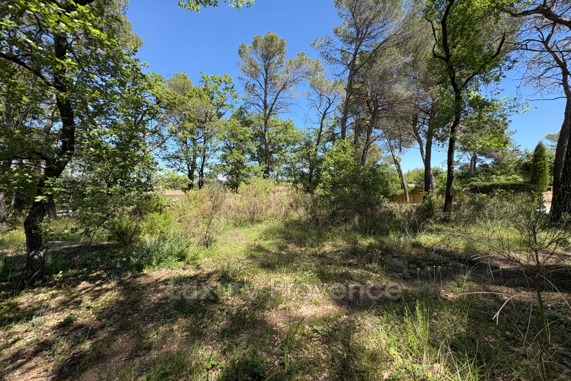 Agence immobilière de LUXURY PROVENCE