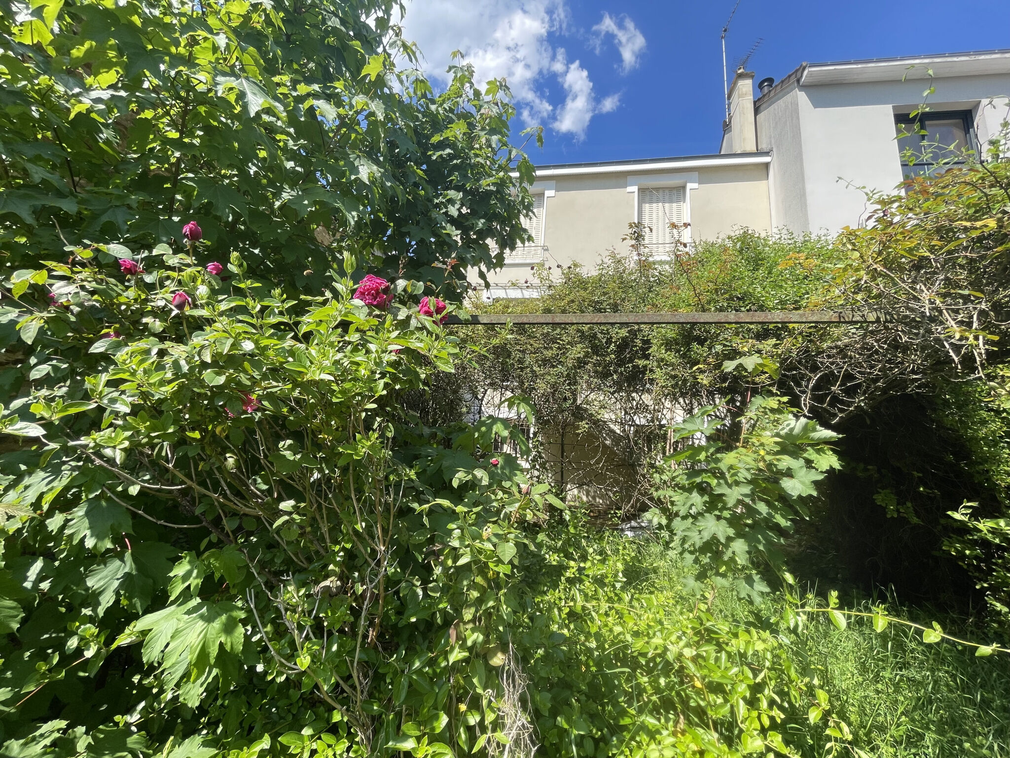 Agence immobilière de FONTAINE Miguel