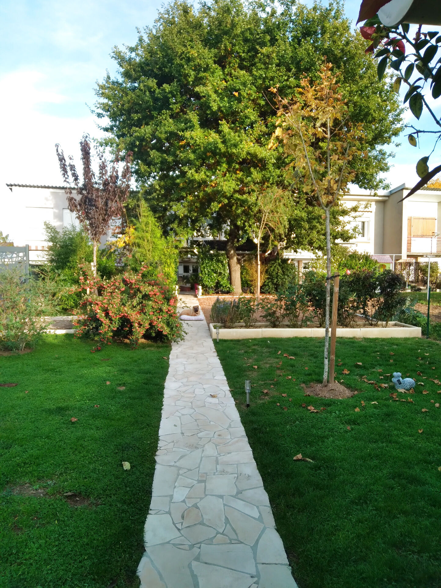 Agence immobilière de ERIC MARTIN