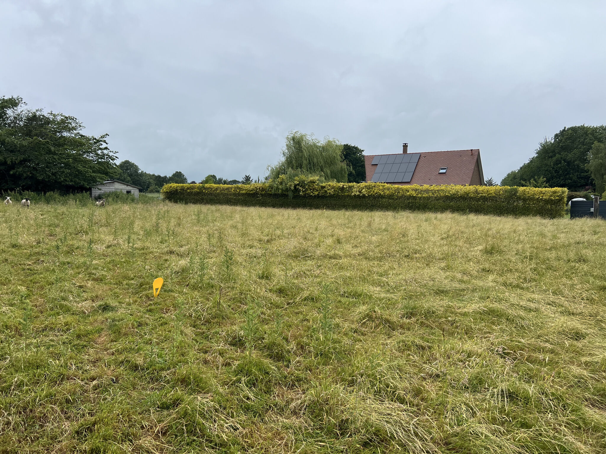 Agence immobilière de BRUBION Eric