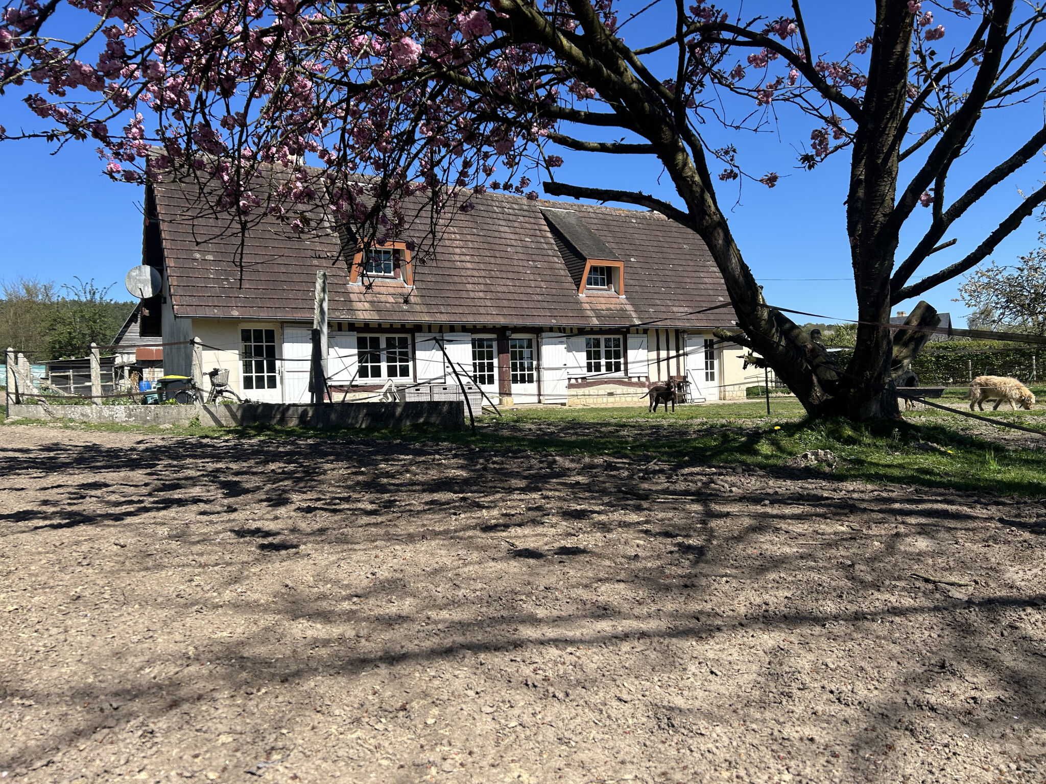 Agence immobilière de BRUBION Eric