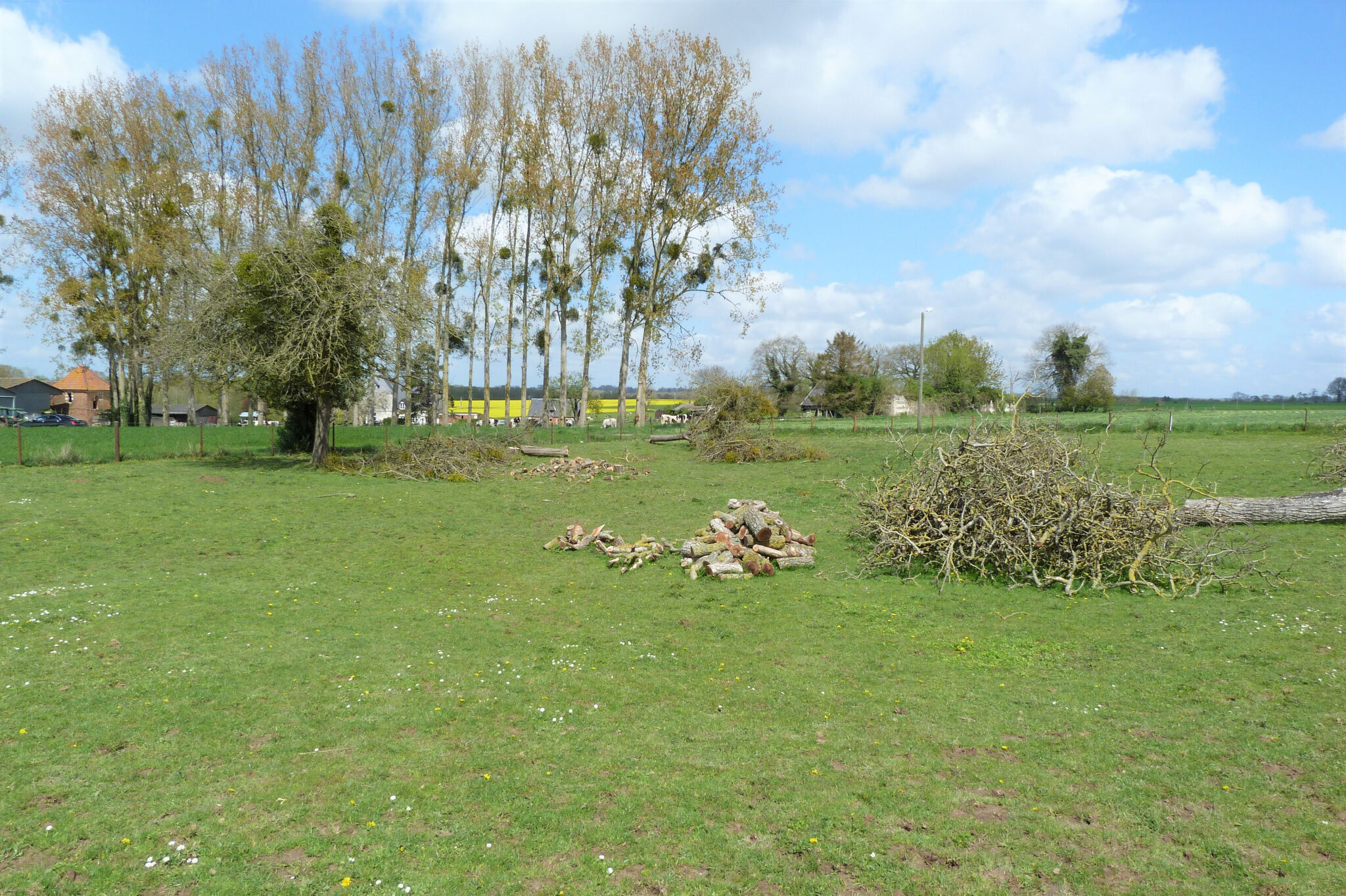 Agence immobilière de BRUBION Eric