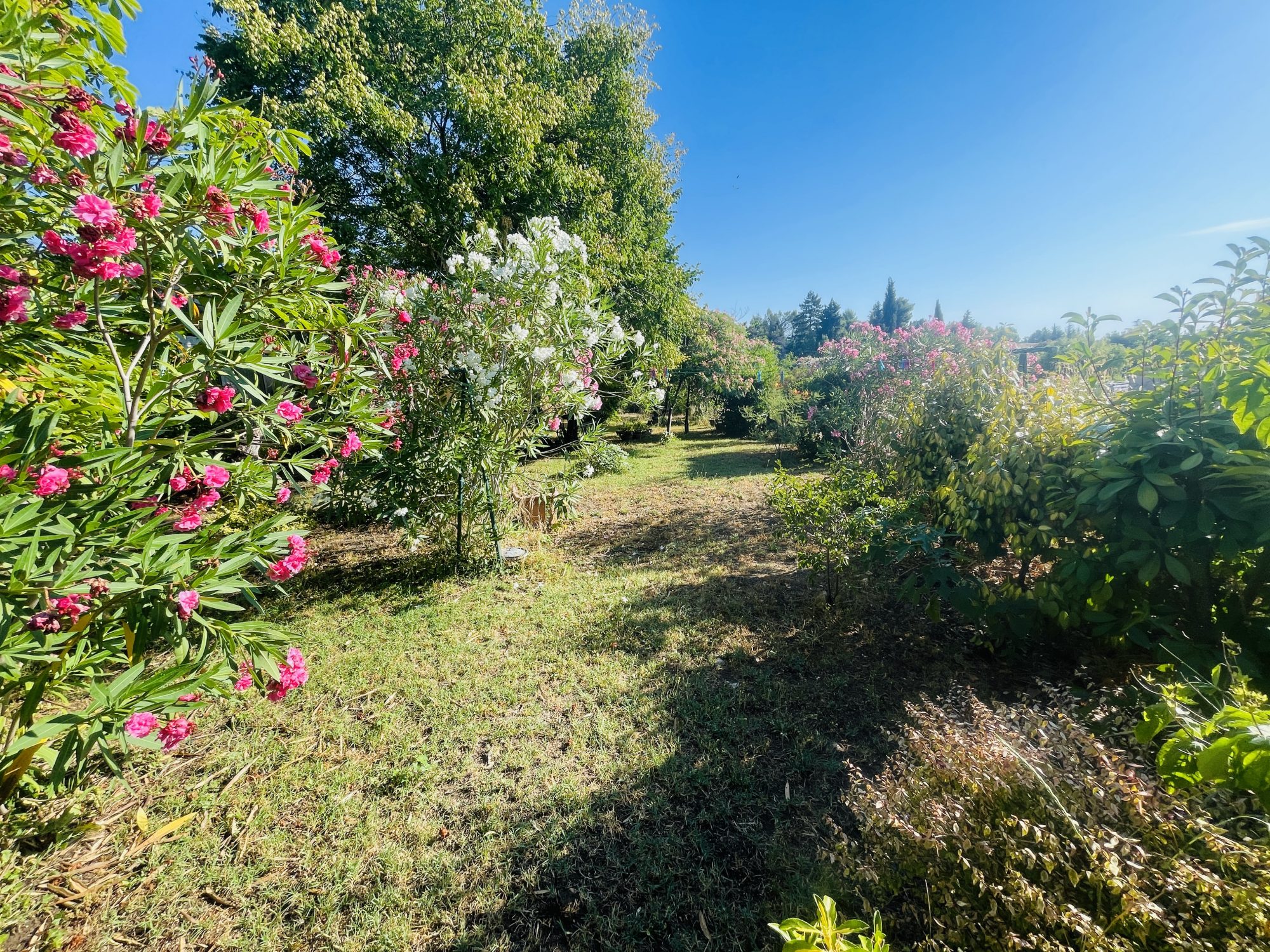 Agence immobilière de ROLAND CORBANINI