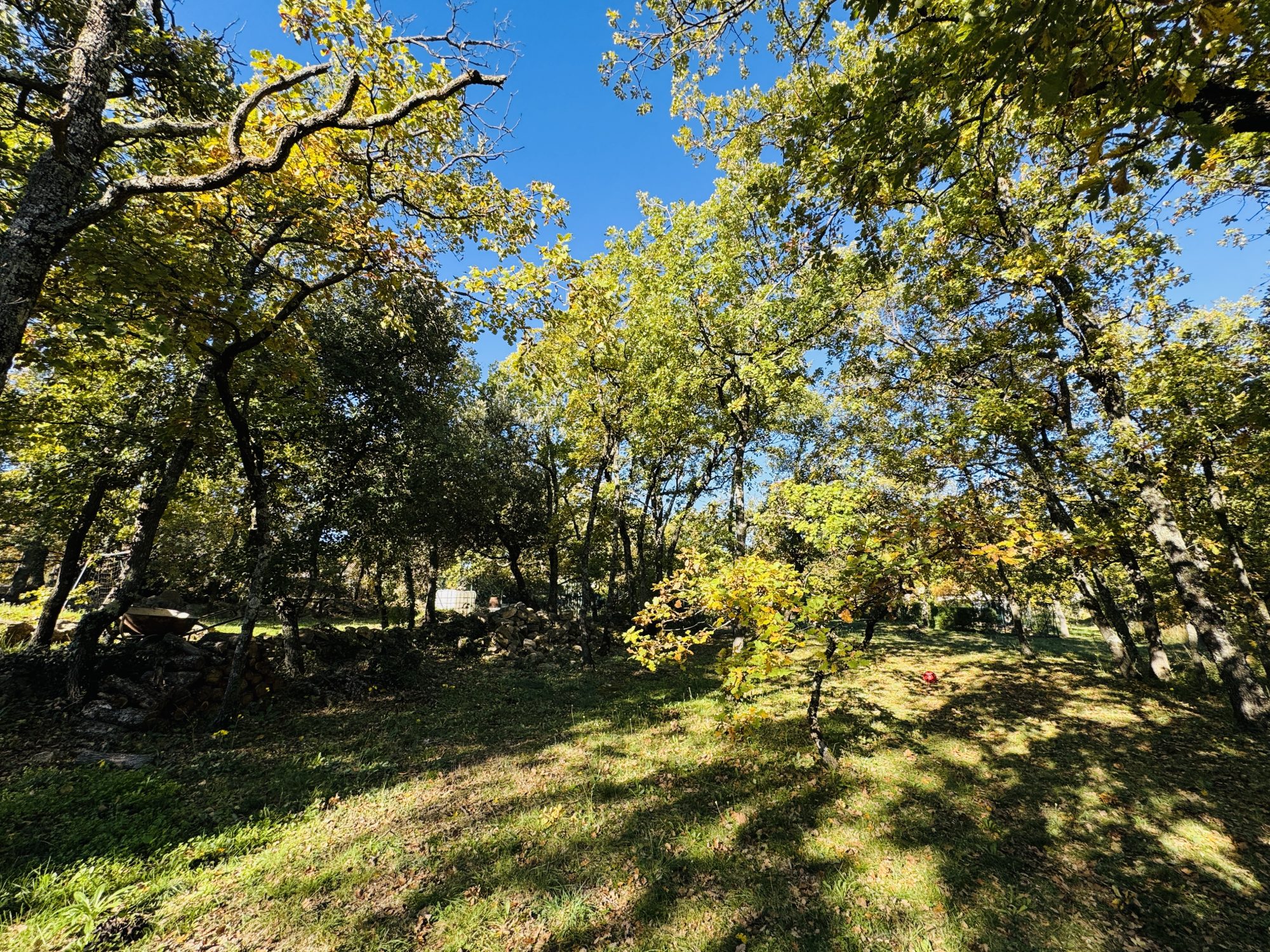 Agence immobilière de ROLAND CORBANINI