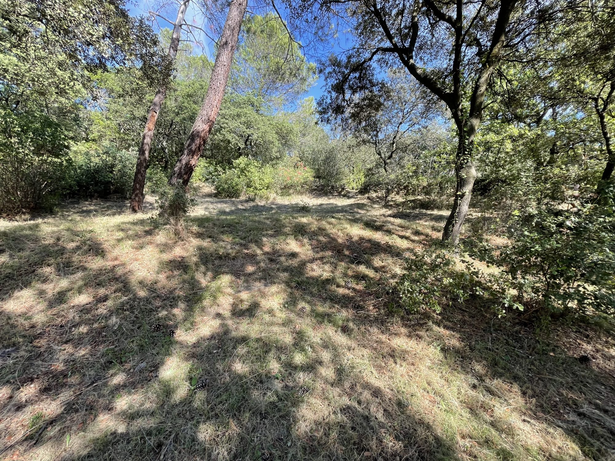 Agence immobilière de ROLAND CORBANINI