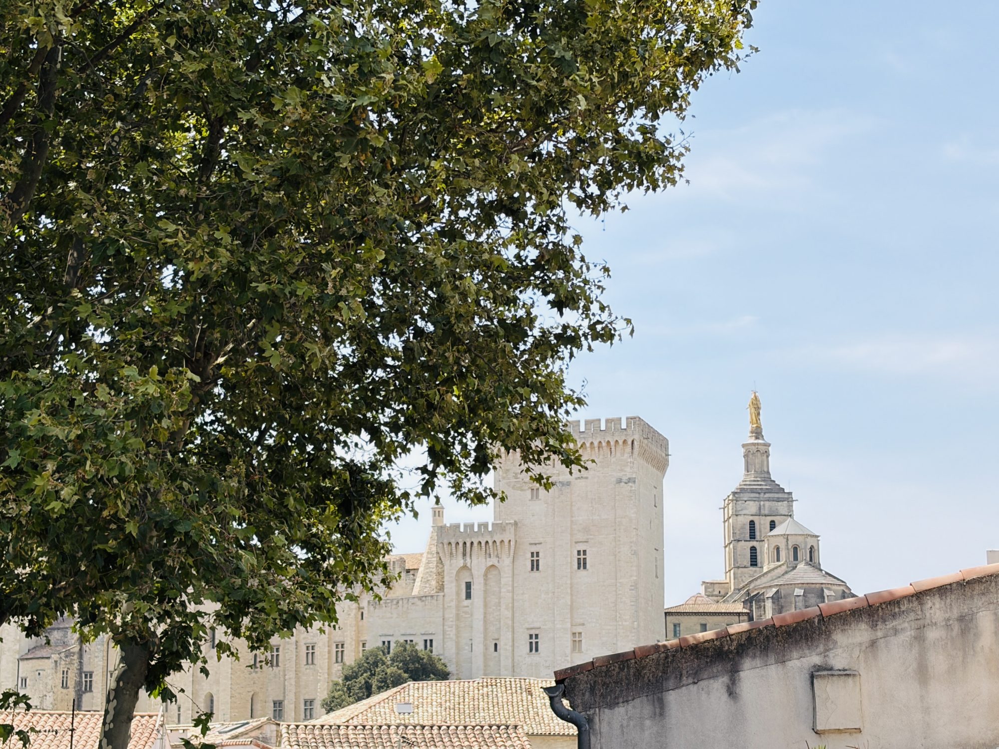 Agence immobilière de ROLAND CORBANINI