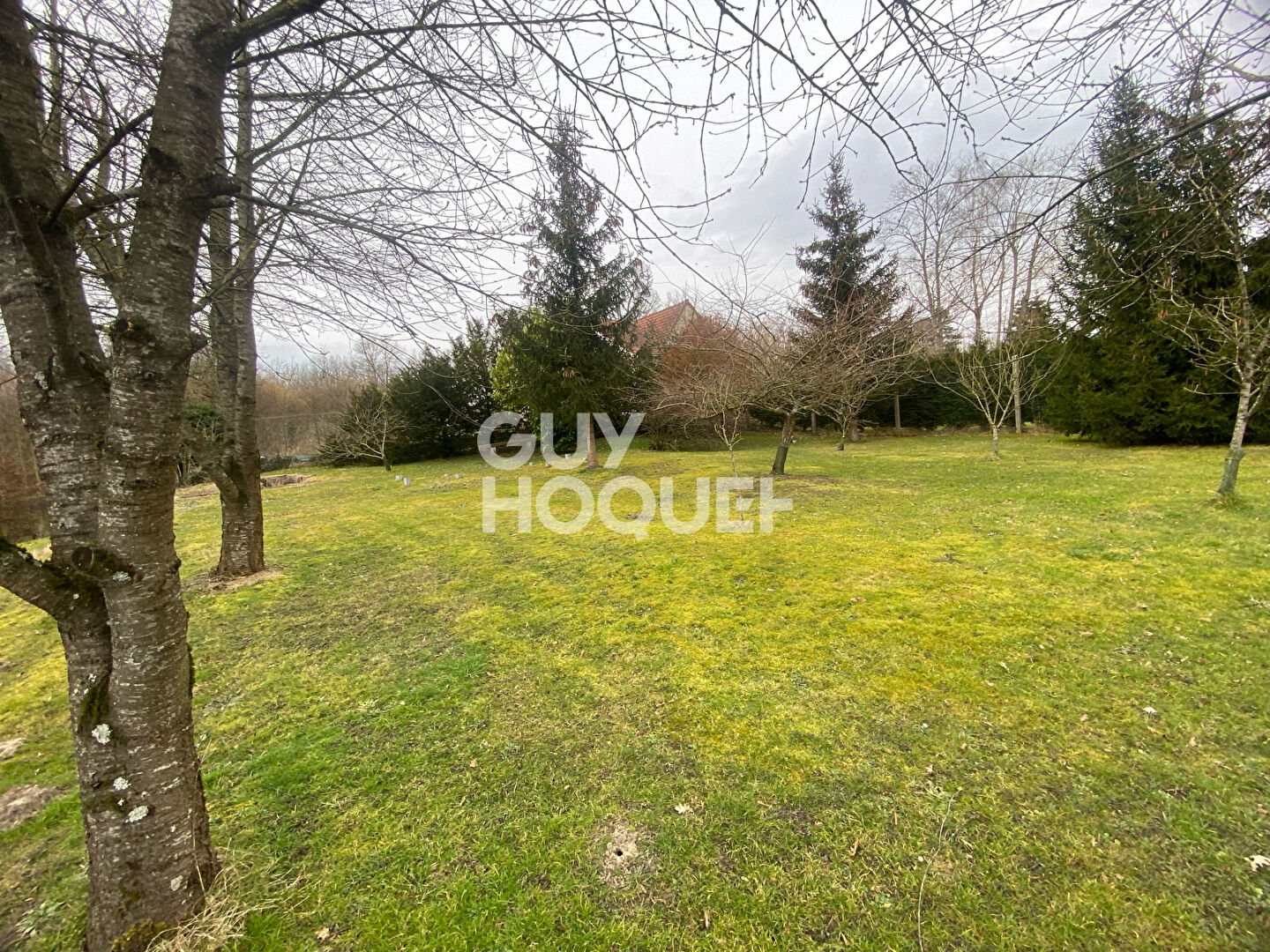 Agence immobilière de GUY HOQUET LAON