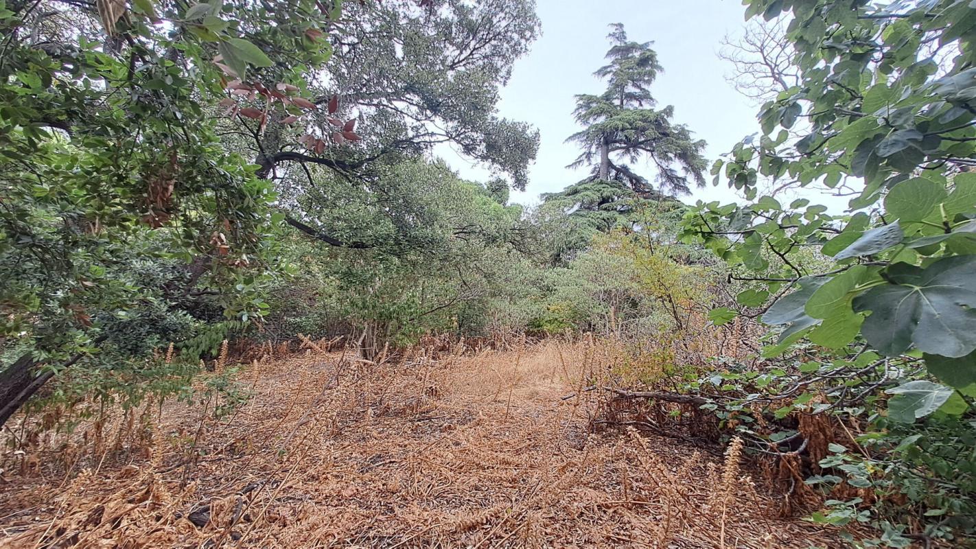 Agence immobilière de IMREP