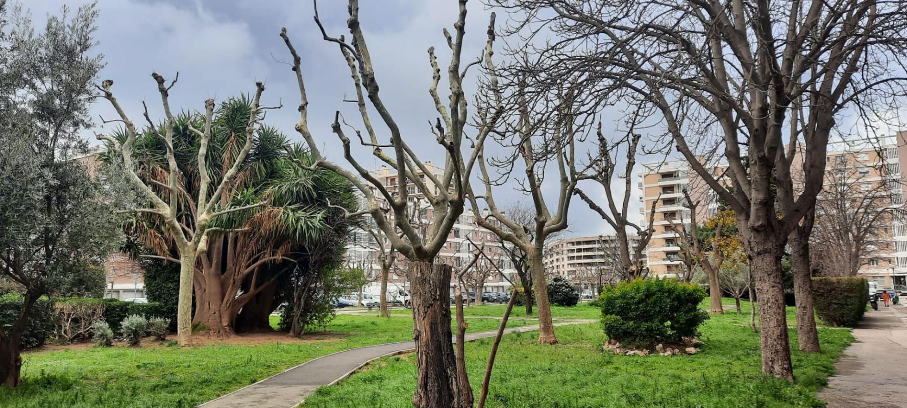 Agence immobilière de IMREP