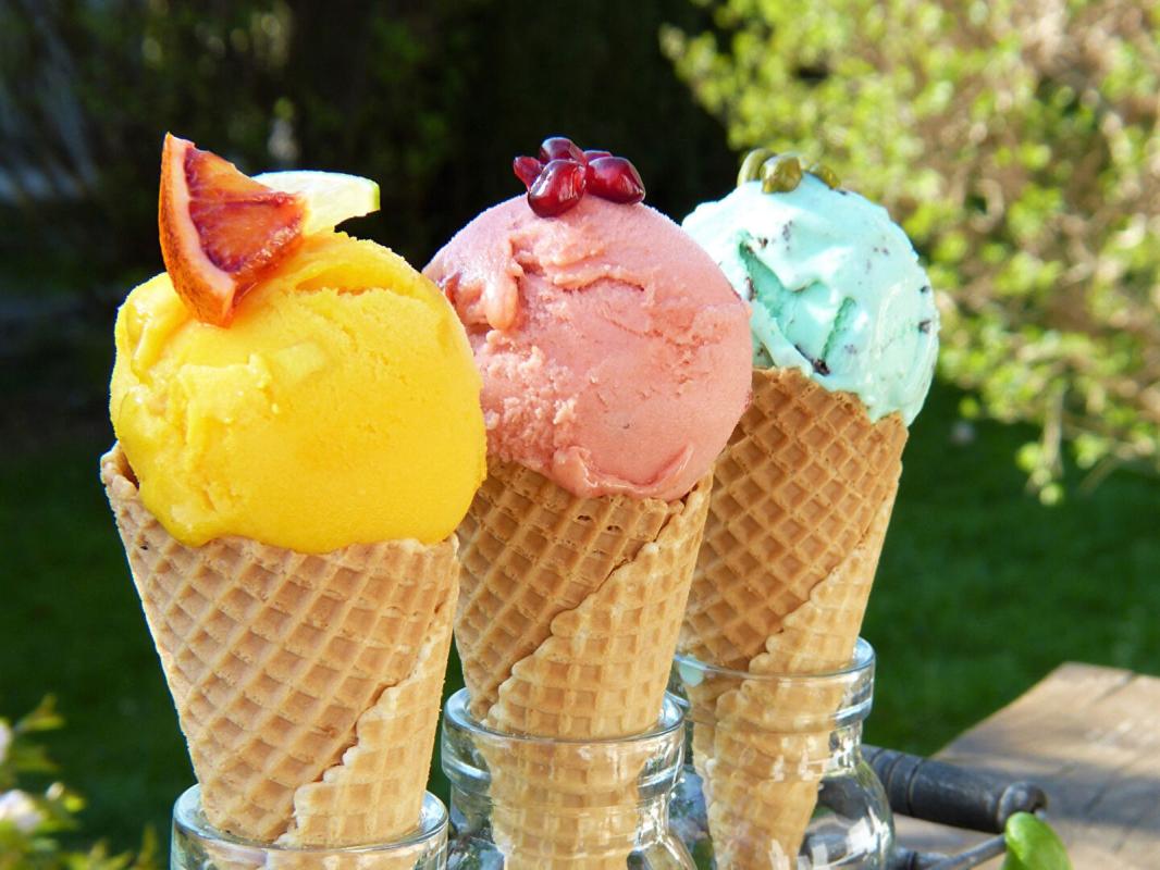 Agence immobilière de IMREP