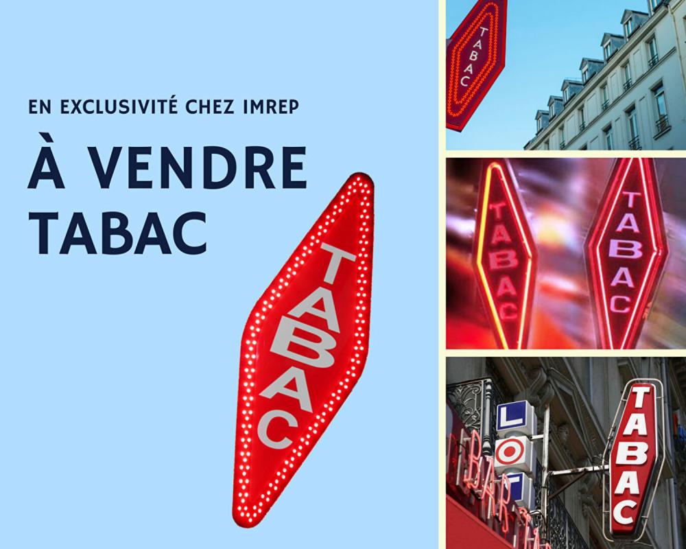 Agence immobilière de IMREP