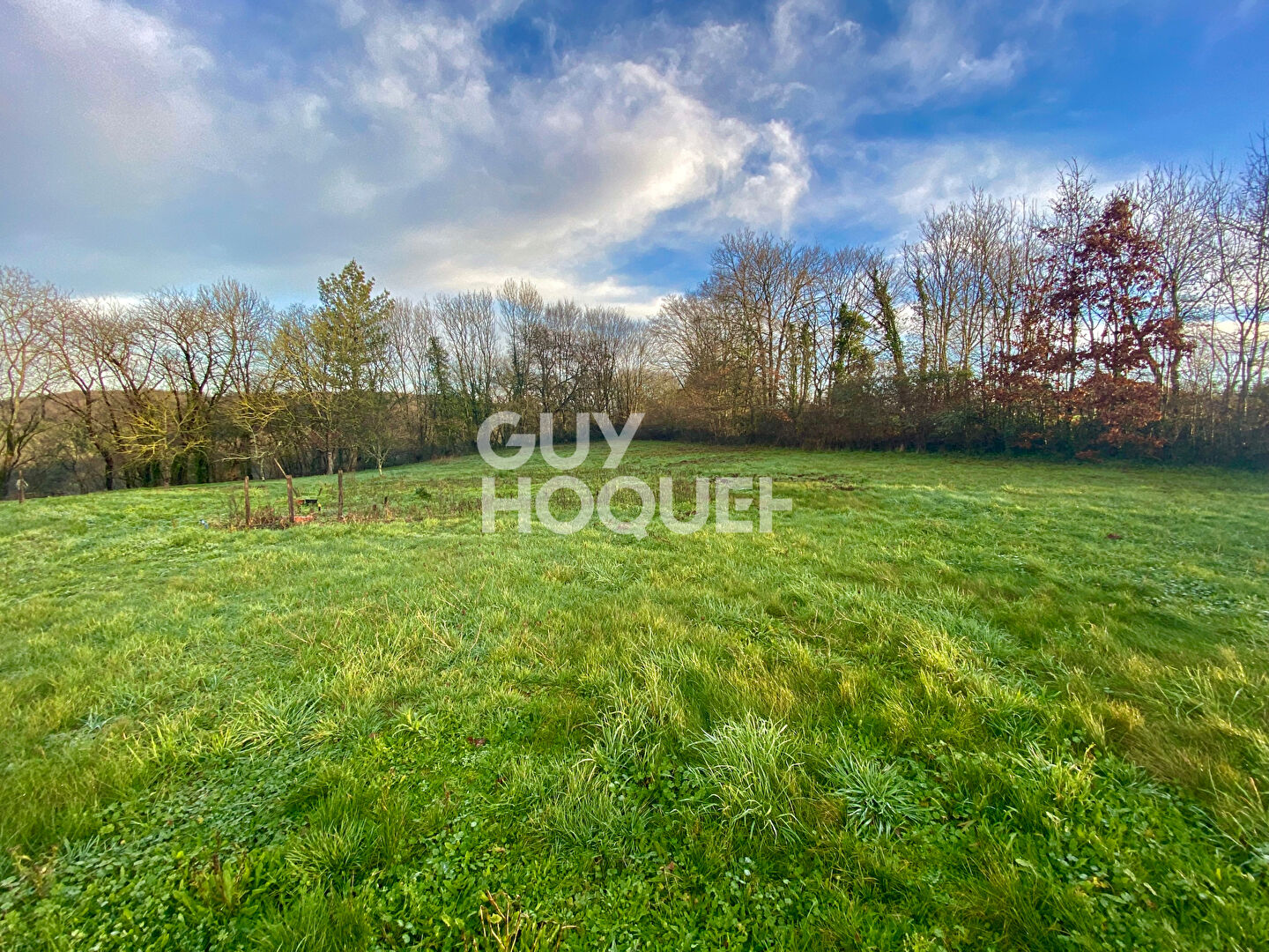 Agence immobilière de GUY HOQUET FONTENAY