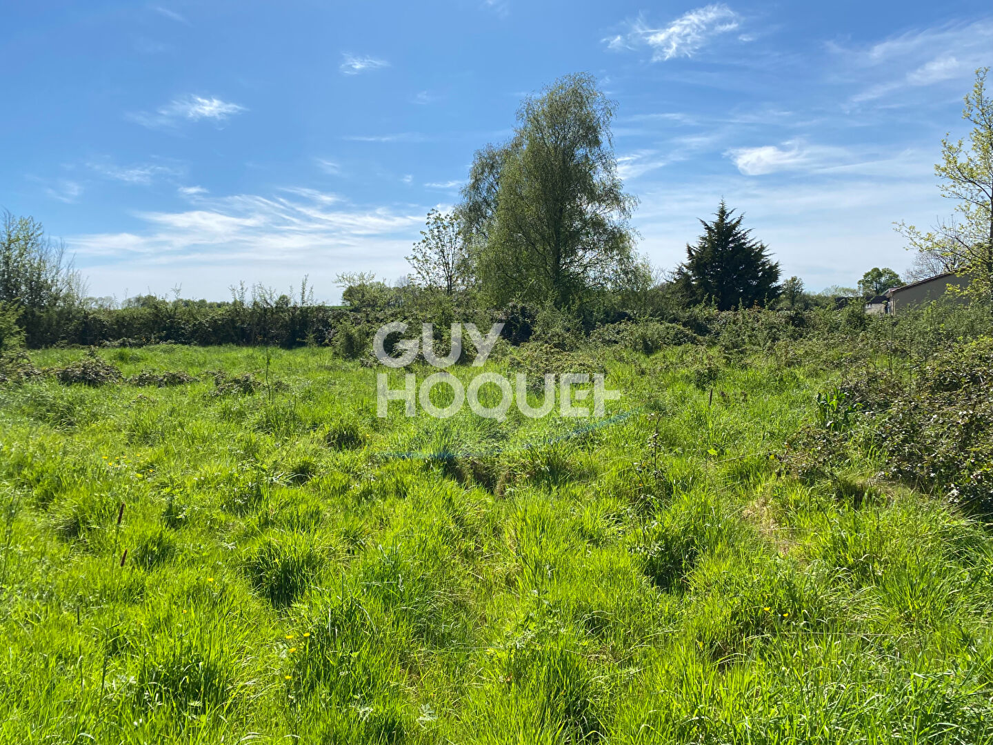 Agence immobilière de GUY HOQUET FONTENAY