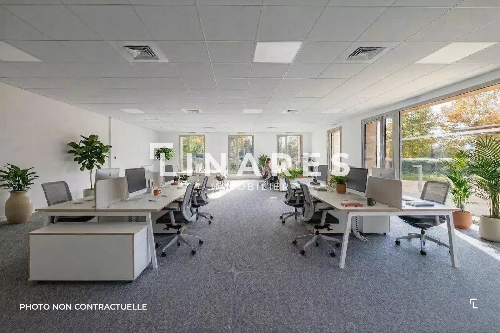 Agence immobilière de Jenna AMSELLLEM