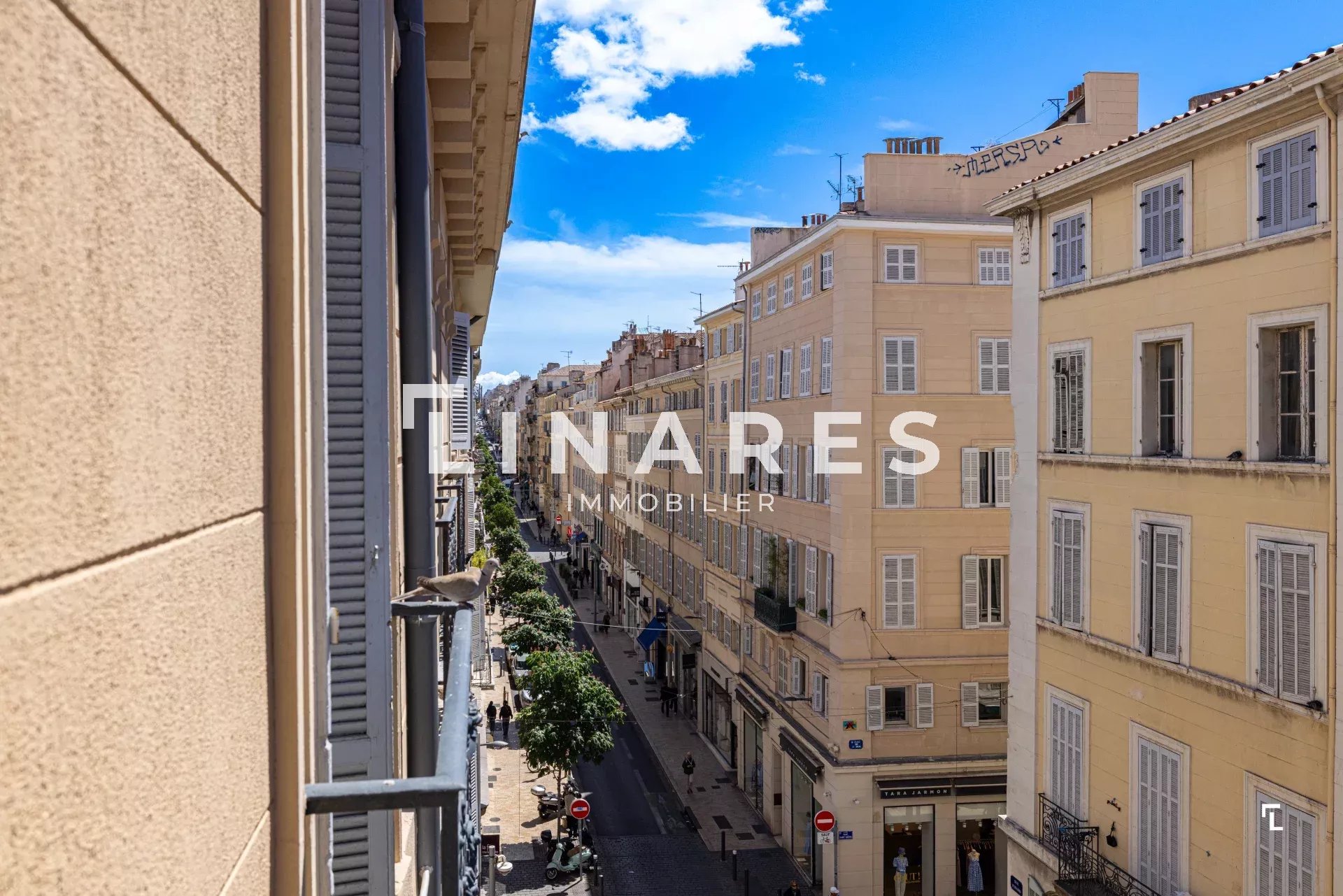 Agence immobilière de Jenna AMSELLLEM