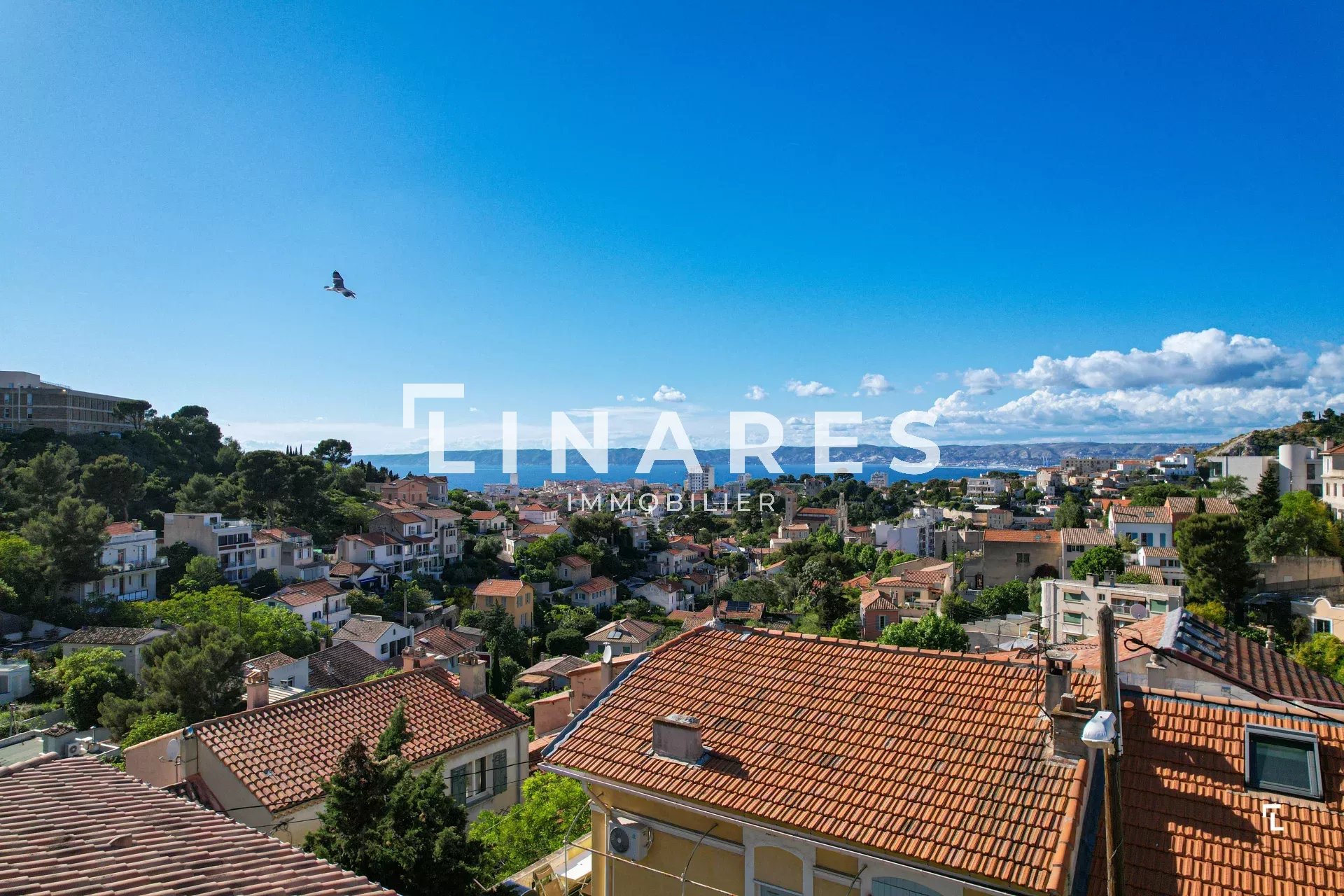 Agence immobilière de Jenna AMSELLLEM