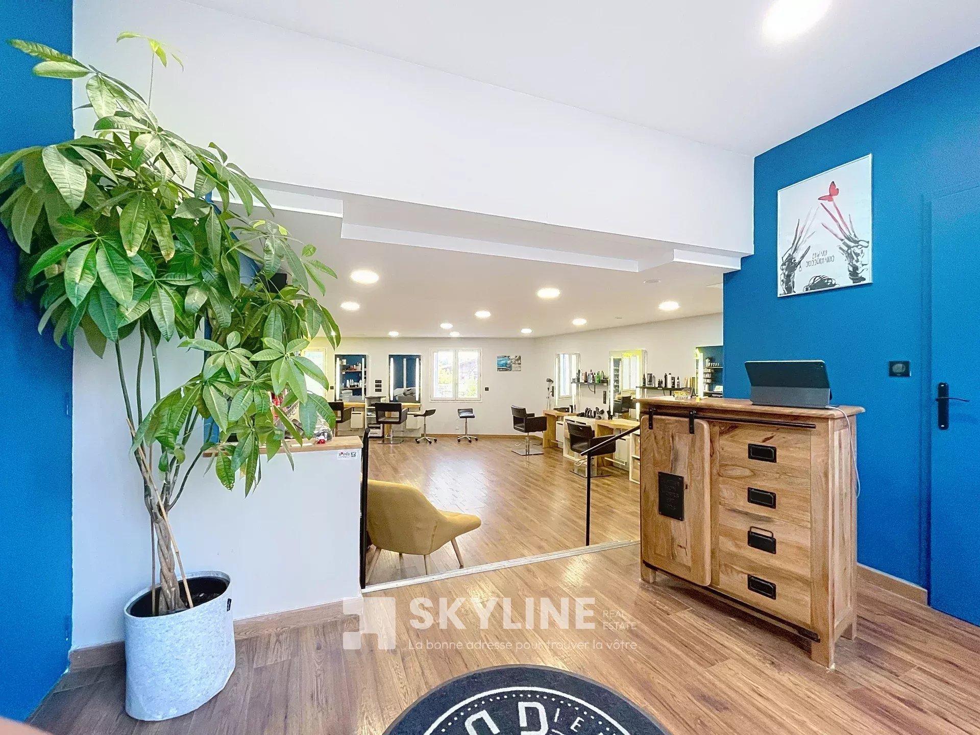 Agence immobilière de SKYLINE REAL ESTATE