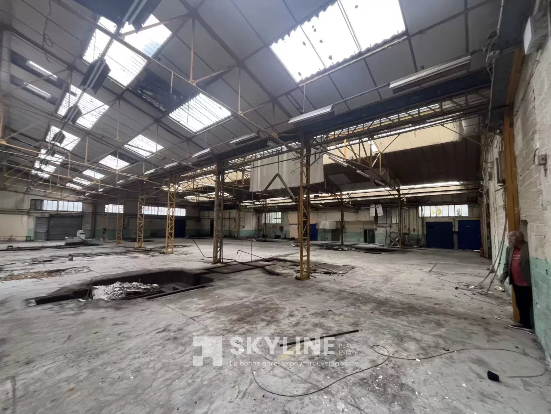 Agence immobilière de SKYLINE REAL ESTATE