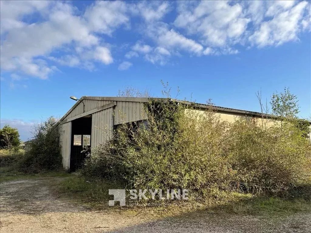 Agence immobilière de SKYLINE REAL ESTATE