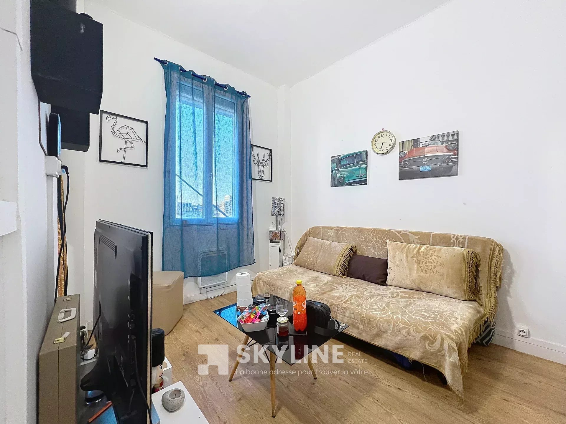 Agence immobilière de SKYLINE REAL ESTATE