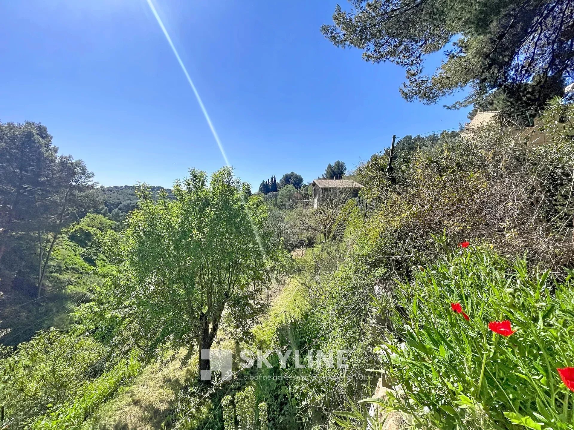 Agence immobilière de SKYLINE REAL ESTATE