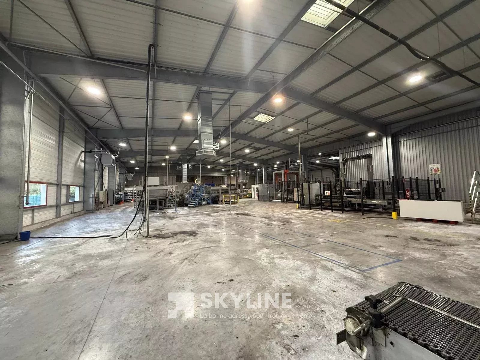 Agence immobilière de SKYLINE REAL ESTATE