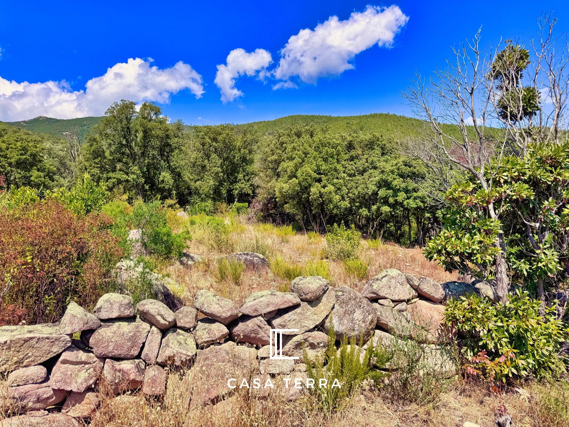 Agence immobilière de Bastien CLESSI-BECONCINI