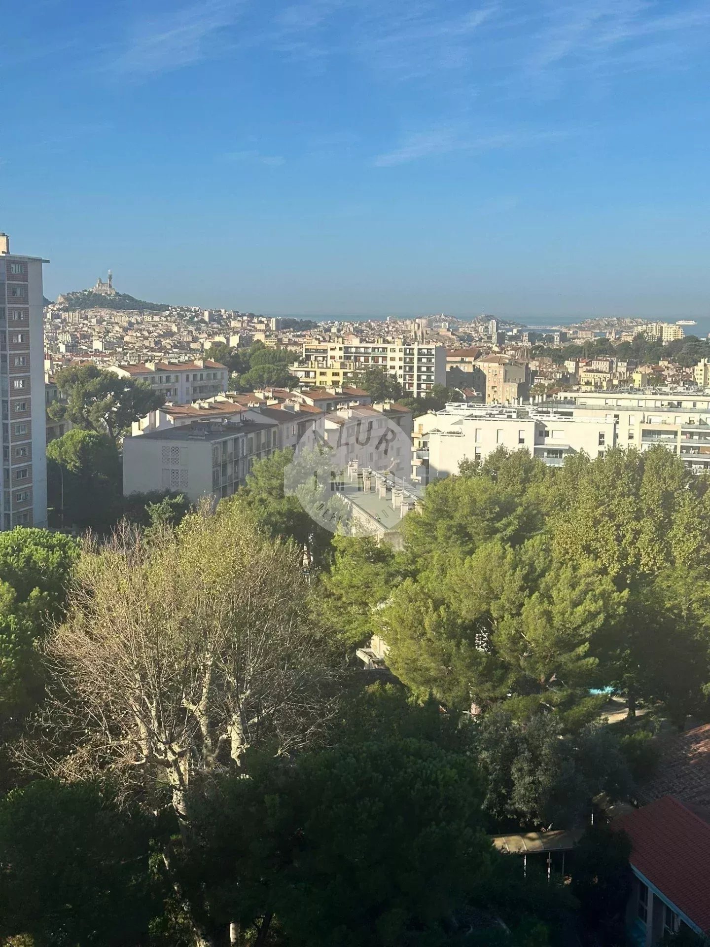 Agence immobilière de Matthias MEDIGUE