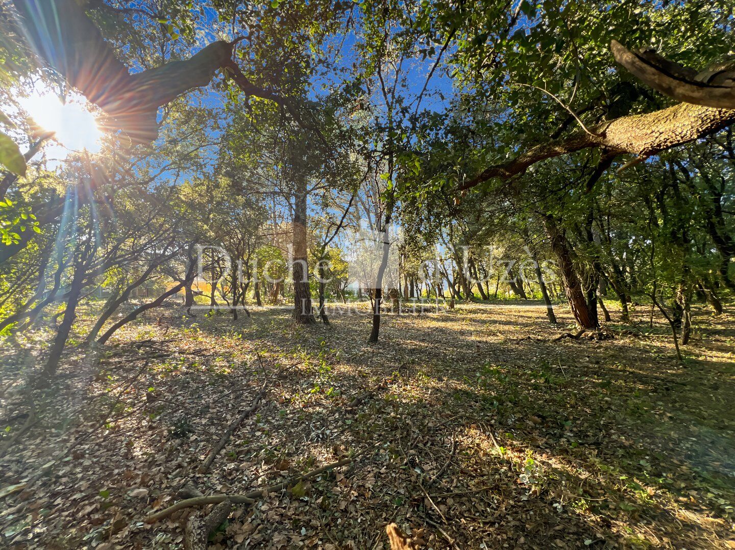 Agence immobilière de Duché d'Uzès Immobilier