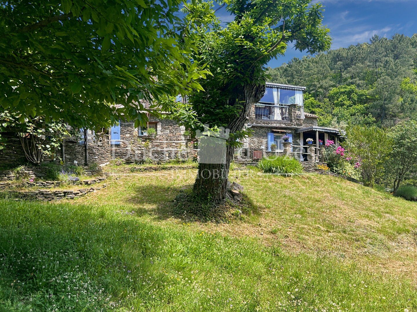 Agence immobilière de Duché d'Uzès Immobilier