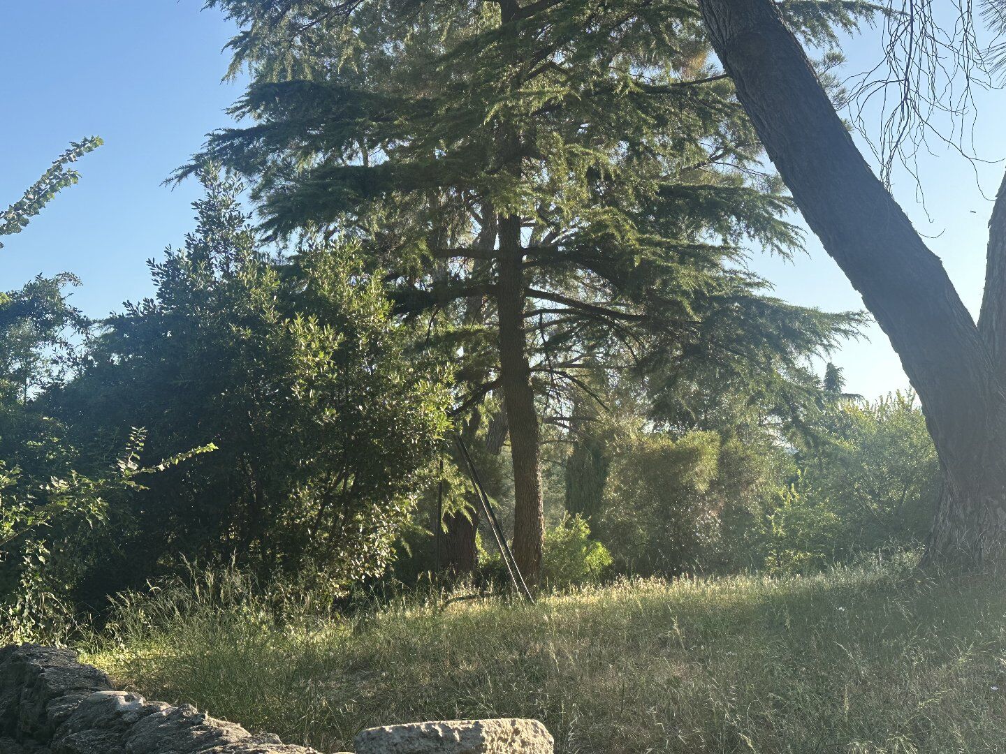 Agence immobilière de Duché d'Uzès Immobilier