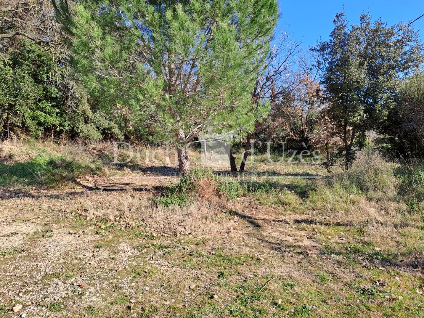 Agence immobilière de Duché d'Uzès Immobilier