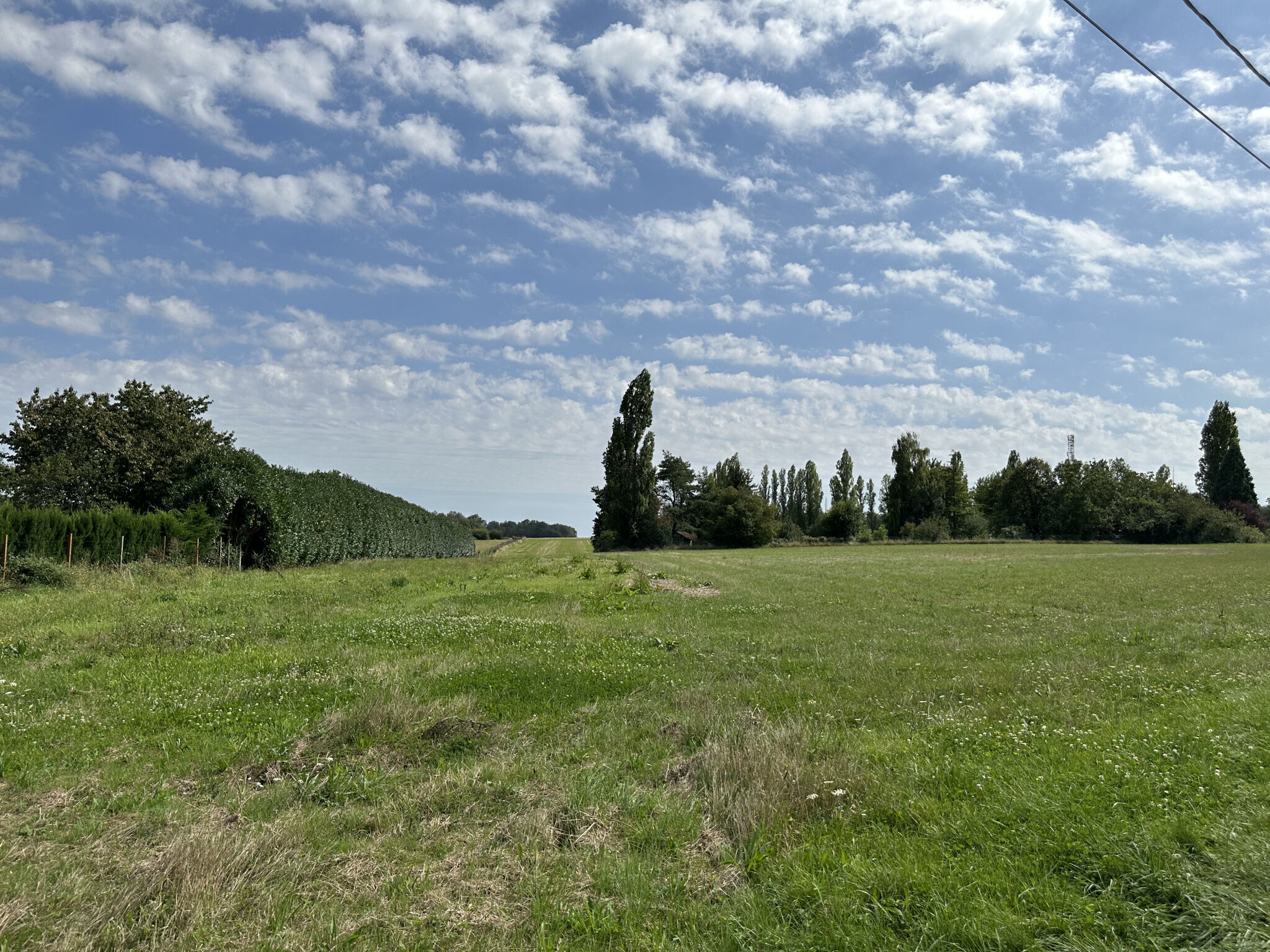 Agence immobilière de AGENCE OPTIMUS