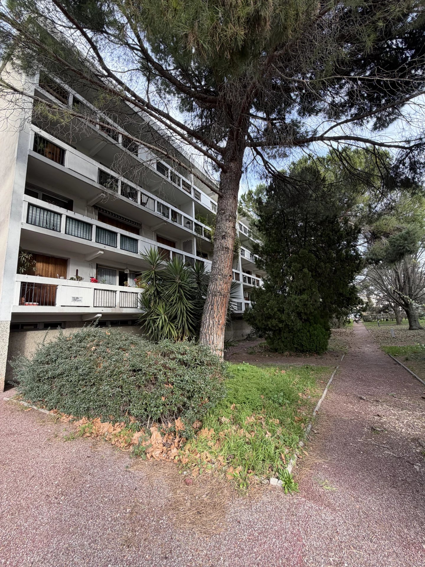 Agence immobilière de Kamel DIF