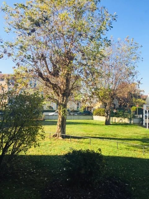 Agence immobilière de Kamel DIF