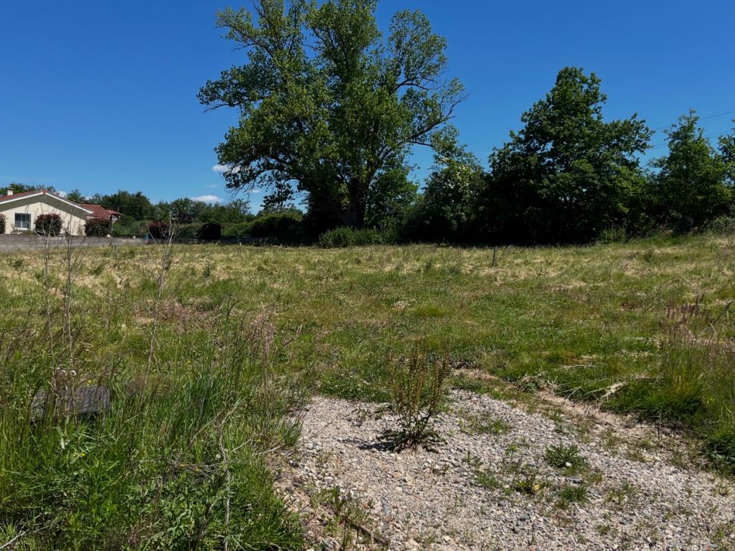 Agence immobilière de cabinet immobilier CHATAGNON