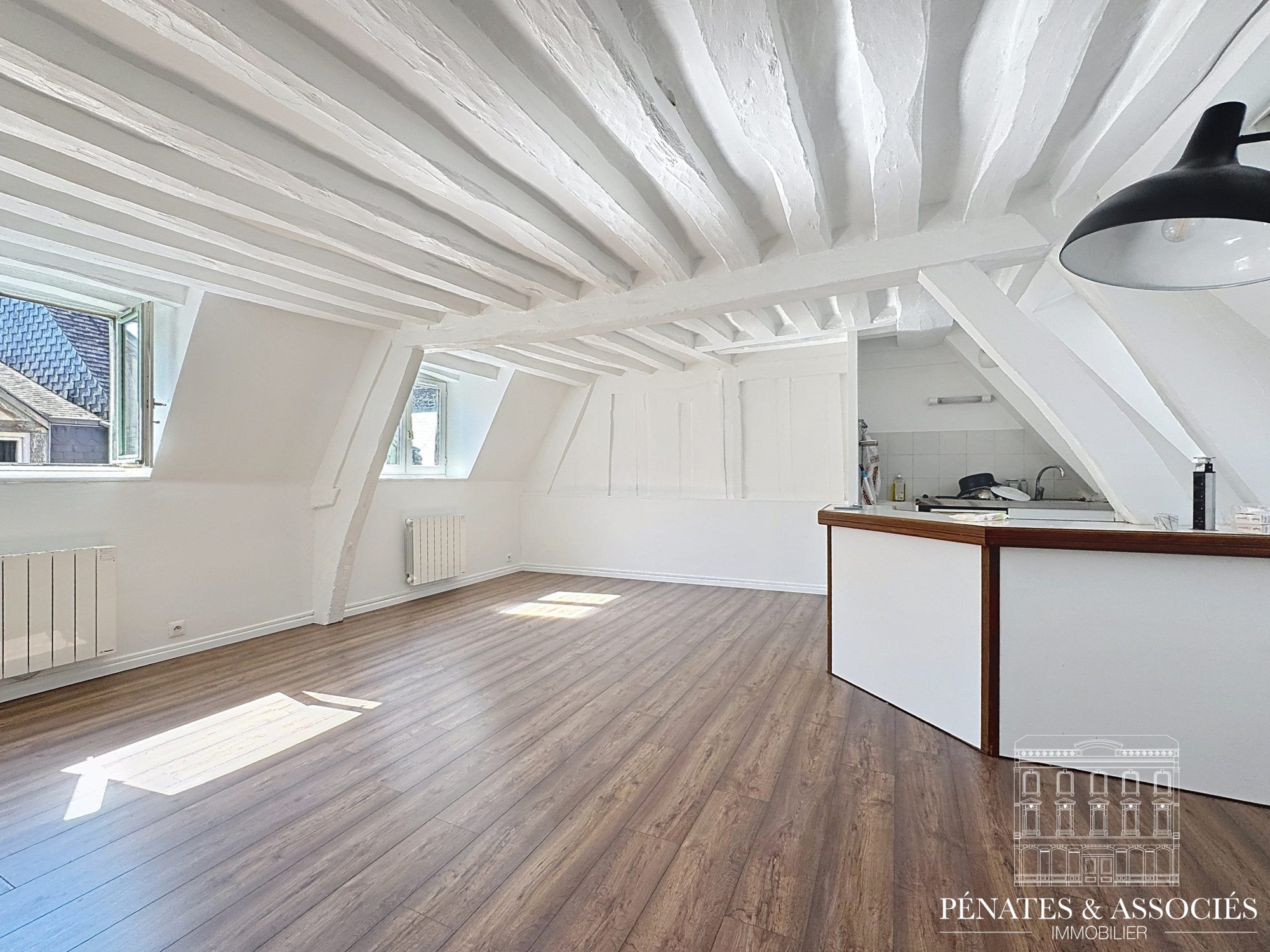 Agence immobilière de Pénates & Associés