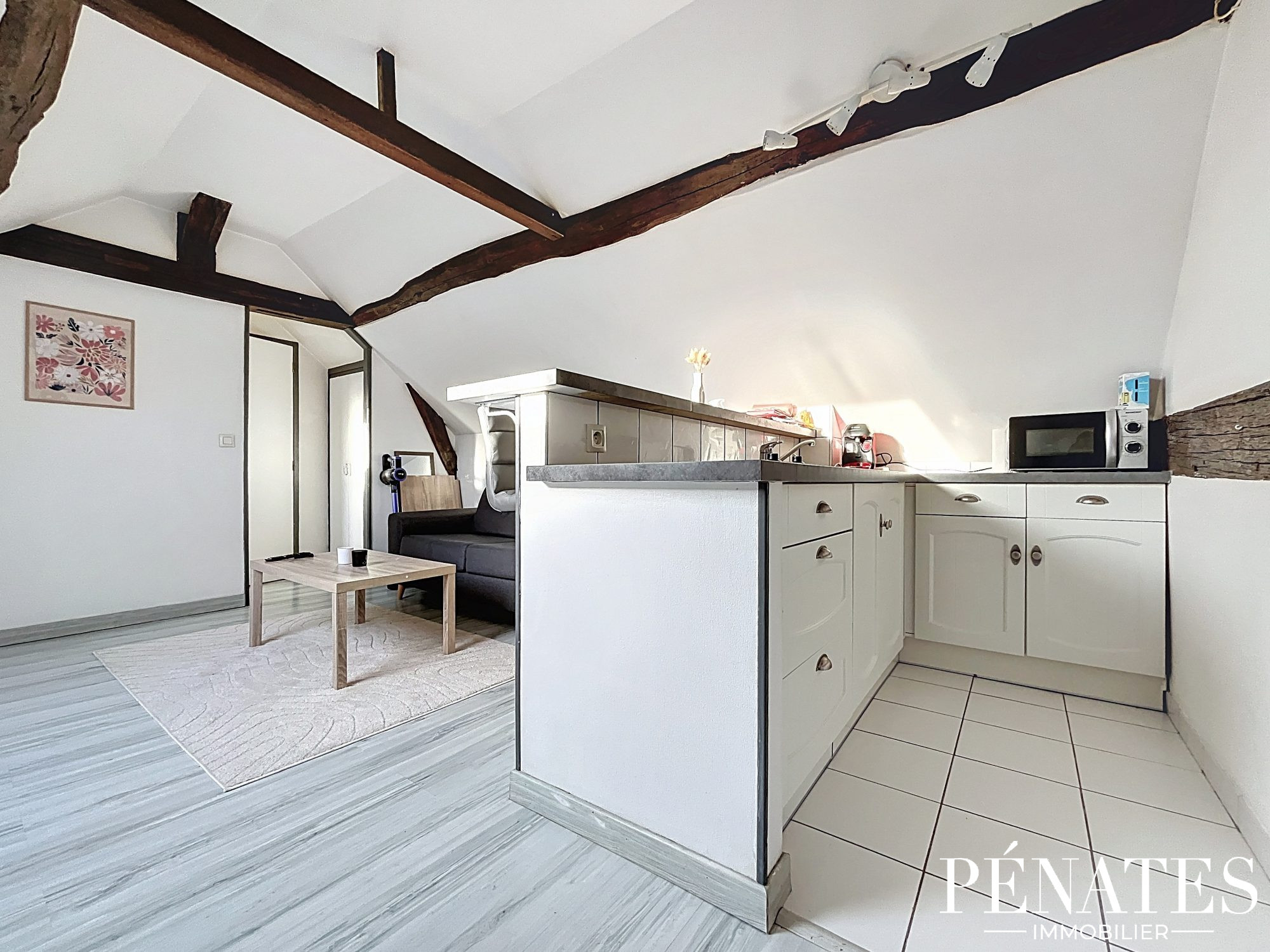 Agence immobilière de Pénates & Associés